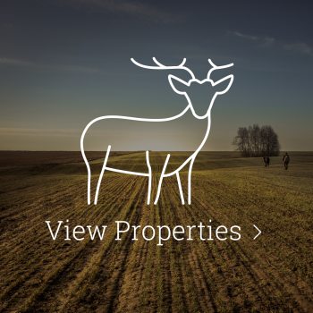 View Properties Button